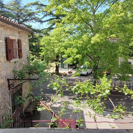 Bordon Wines, Estate With Accommodation Dekani Dış mekan fotoğraf