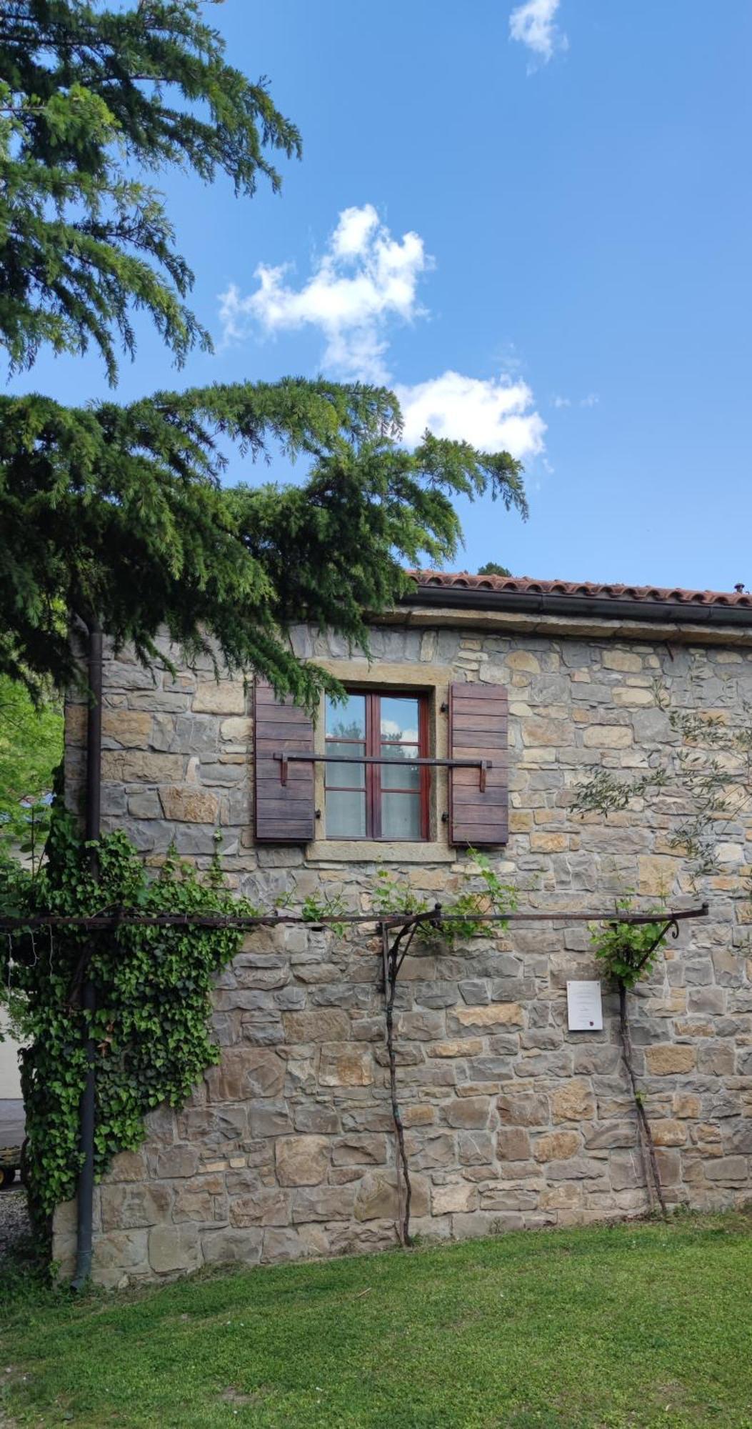Bordon Wines, Estate With Accommodation Dekani Dış mekan fotoğraf